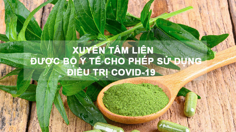Trường Thọ - 0011121 xuyen tam lien duoc bo y te cho phep su dung dieu tri covid 19 800