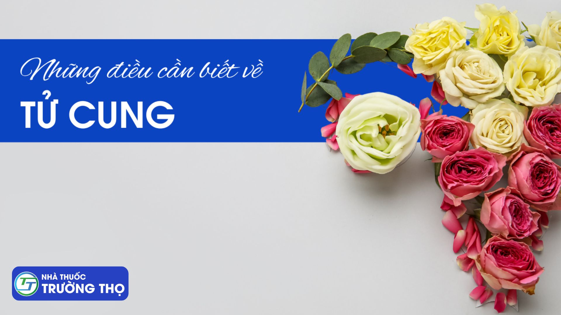 Trường Thọ - bo sung dinh duong thiet yeu 8