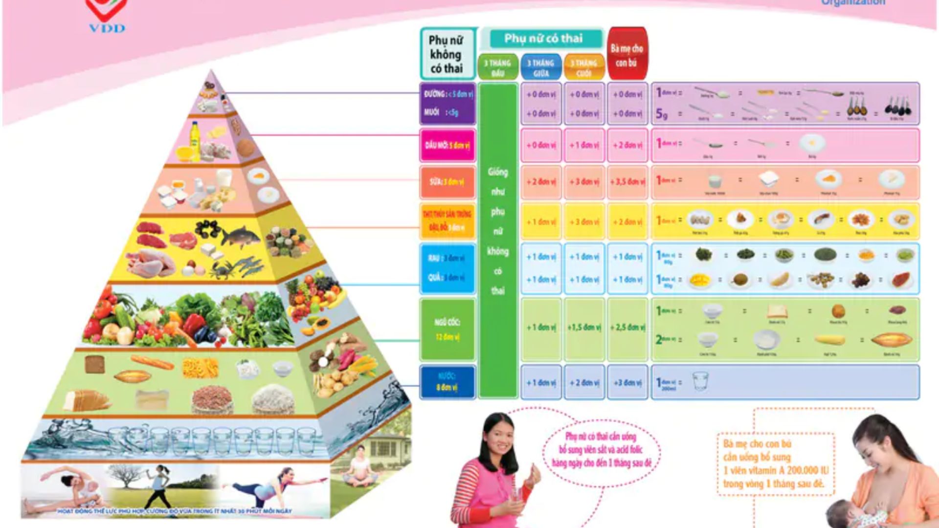 Tháp dinh dưỡng cho bà bầu cung cấp những thông tin cần thiết về lượng thức ăn cần thiết trong thai kỳ