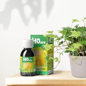 Trường Thọ - Siro Ho ATK - hỗ trợ giảm đau rát họng, hỗ trợ bổ phế, giảm đờm, giảm ho 4 Trường Thọ - Mockup HO copy