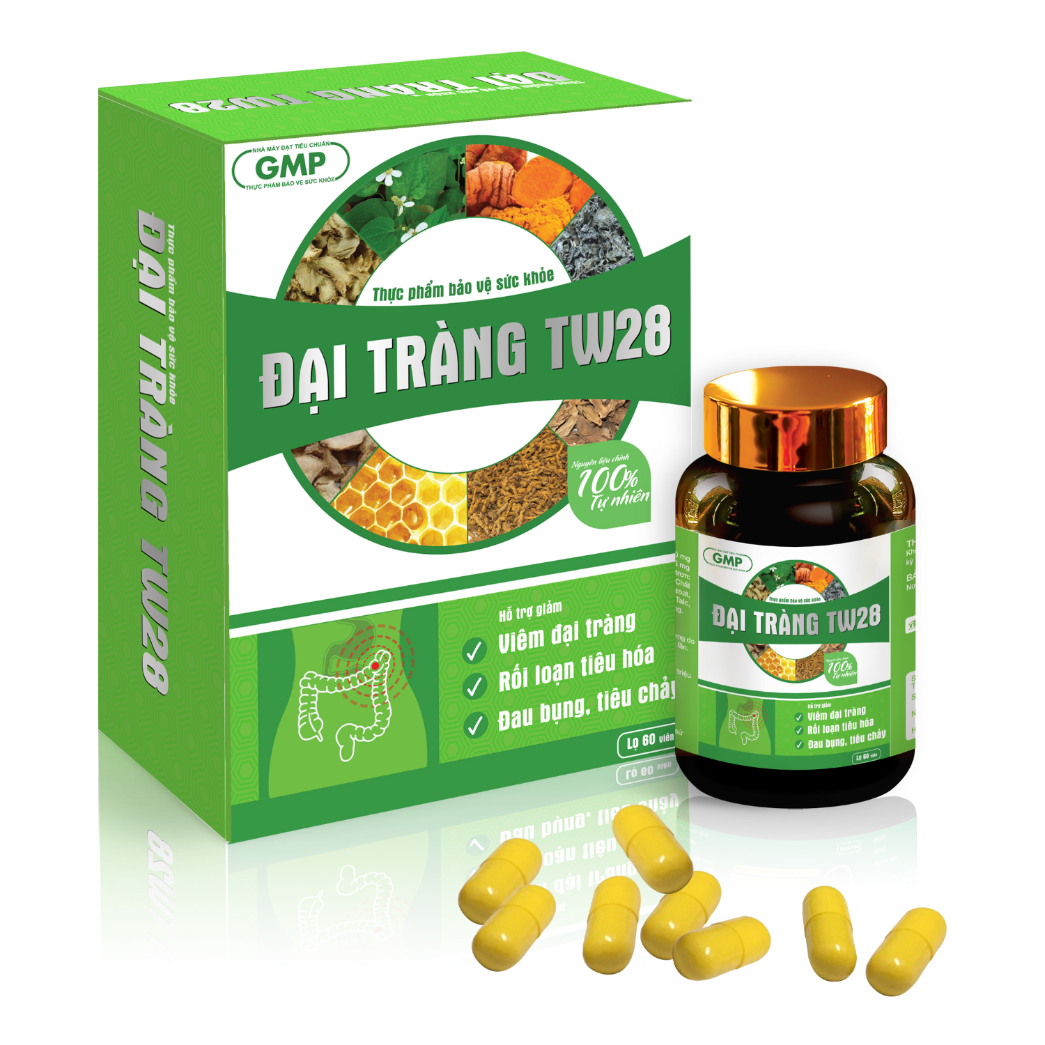 Đại tràng tw28 Đại tràng tw28