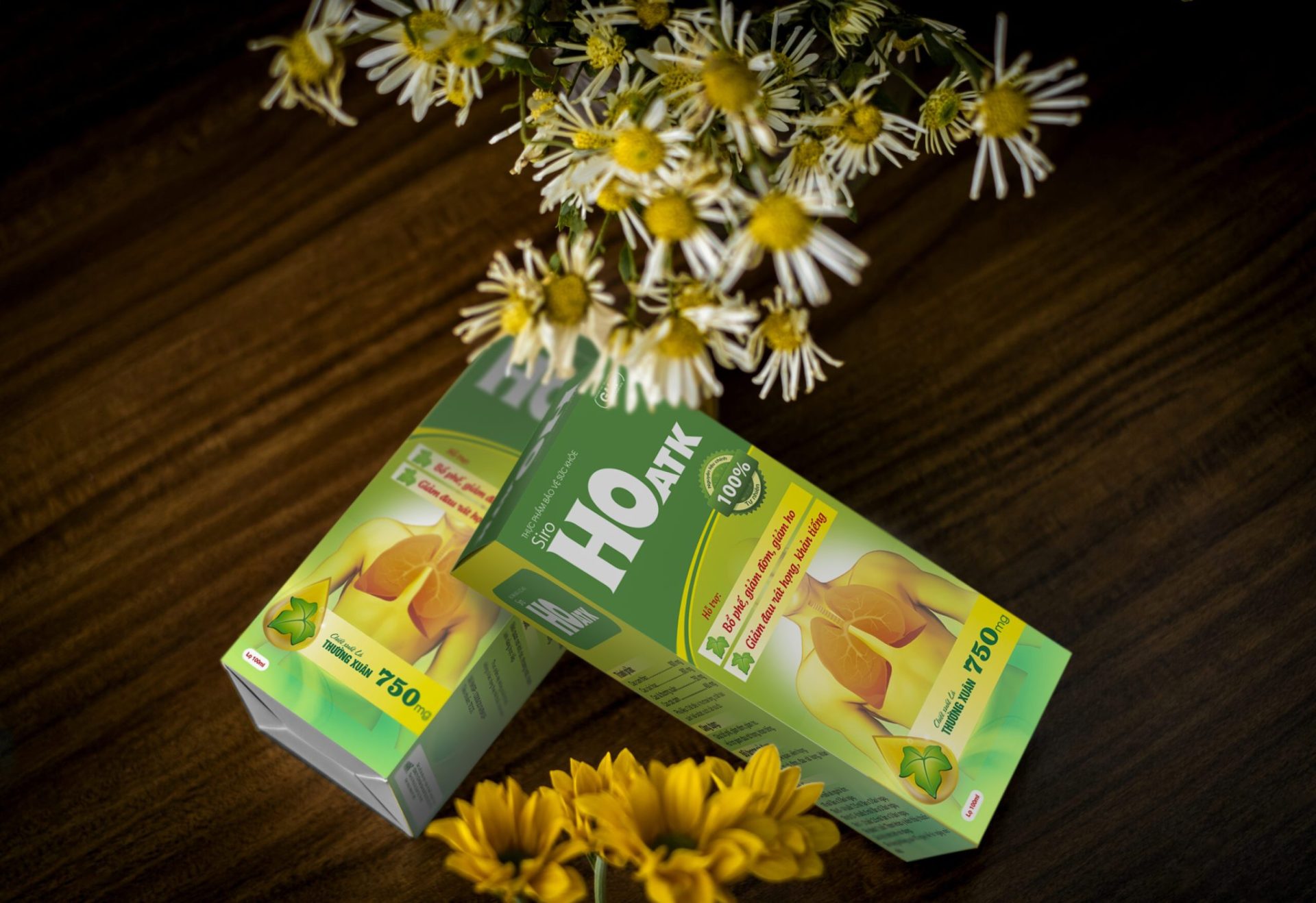 sam-cau-scaled copy Trường Thọ - sam cau scaled copy