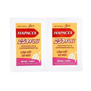 Trường Thọ - Cốm Hapacol 250 Flu hộp 24 gói - Dược Hậu Giang 1 Trường Thọ - Hapacol 250 Flu 1