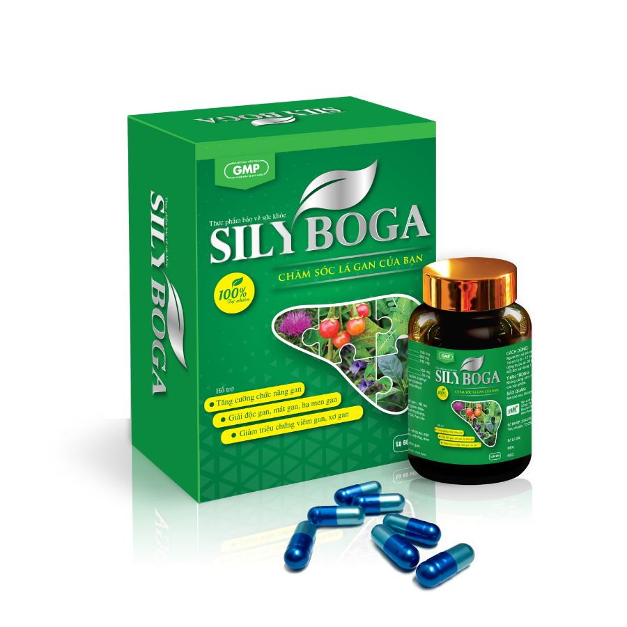Sily boga Trường Thọ - Sily boga