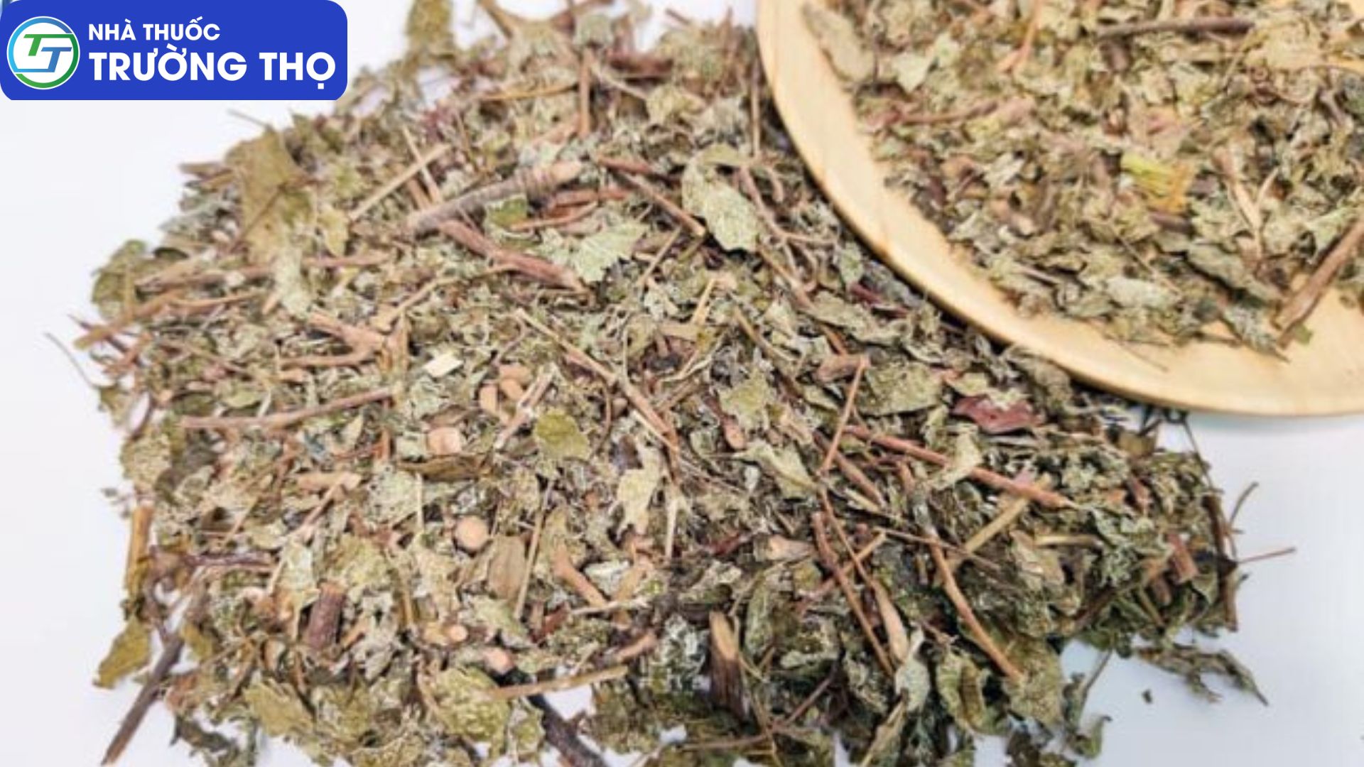 Dược liệu Chè dây giảm nhẹ các triệu chứng đầy hơi, chướng bụng, rối loạn tiêu hóa…