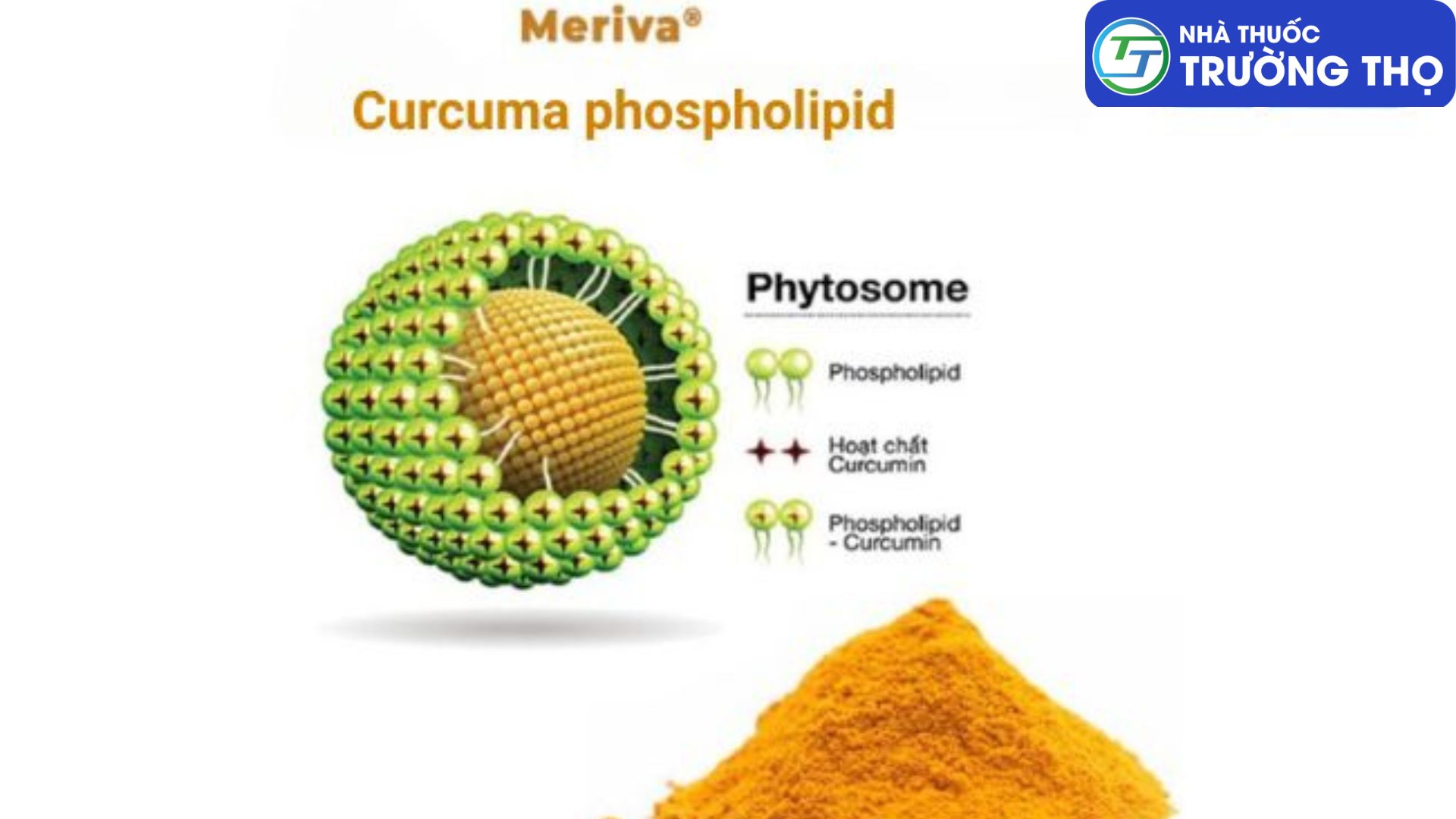 Các nhà khoa học Indena thuộc Italia đã nghiên cứu công nghệ Phytosome với Curcumin