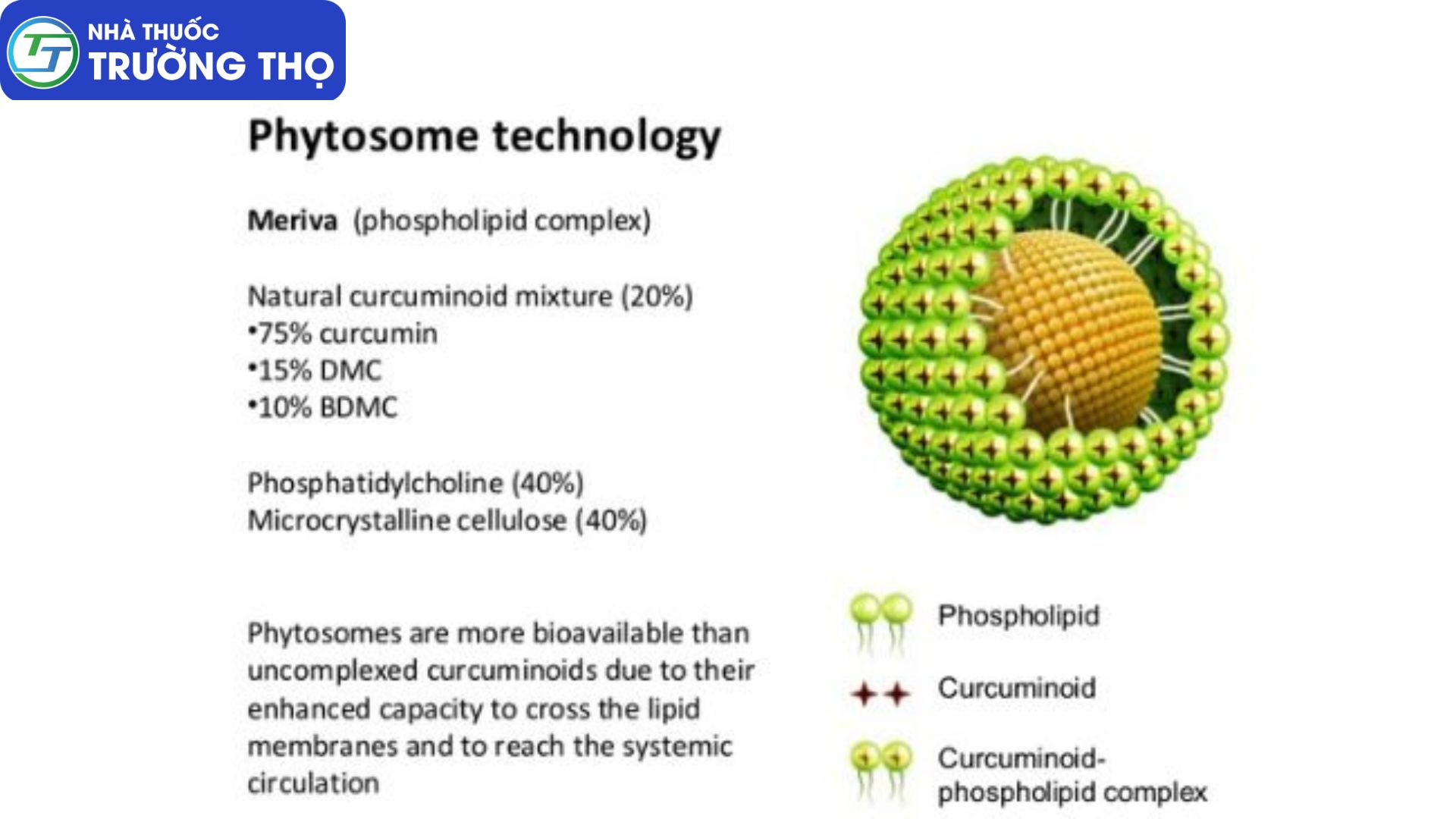 Cấu trúc của Curcuma phospholipid (Curcumin phytosome)