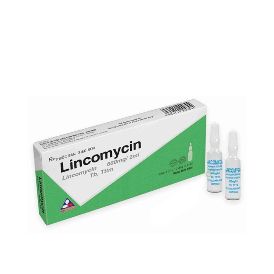 Lincomycin Trường Thọ - Lincomycin