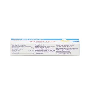 Trường Thọ - Metrogyl Denta 3