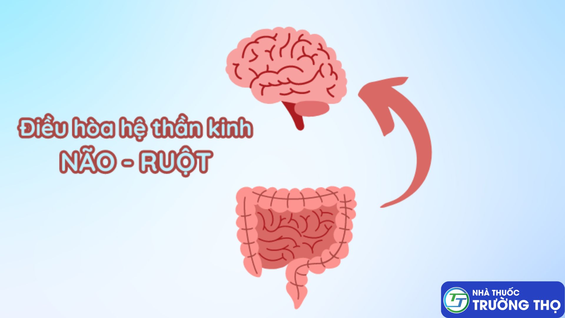 Bảo Tràng Vương – điều hòa hệ thần kinh não ruột cho người bị đại tràng kích thích