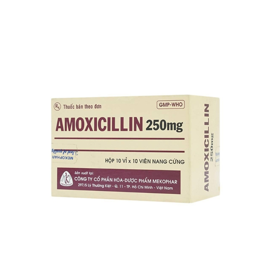Amoxicillin 250mg Mekophar Trường Thọ - Amoxicillin 250mg Mekophar