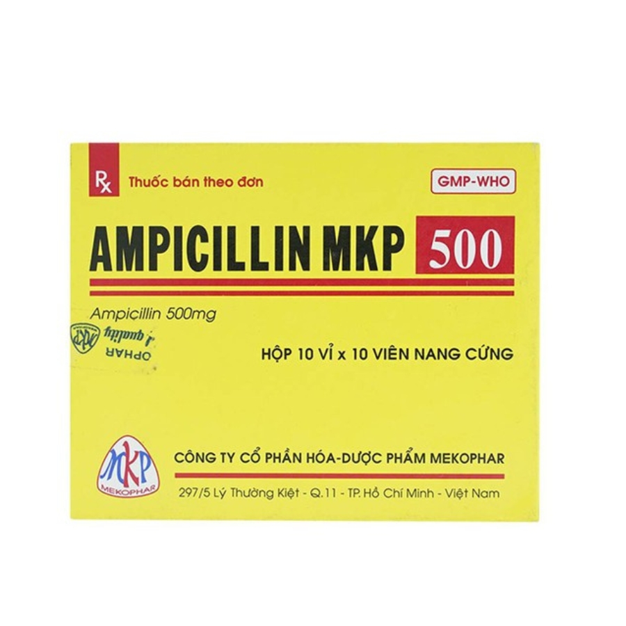Ampicillin 500mg Trường Thọ - Ampicillin 500mg