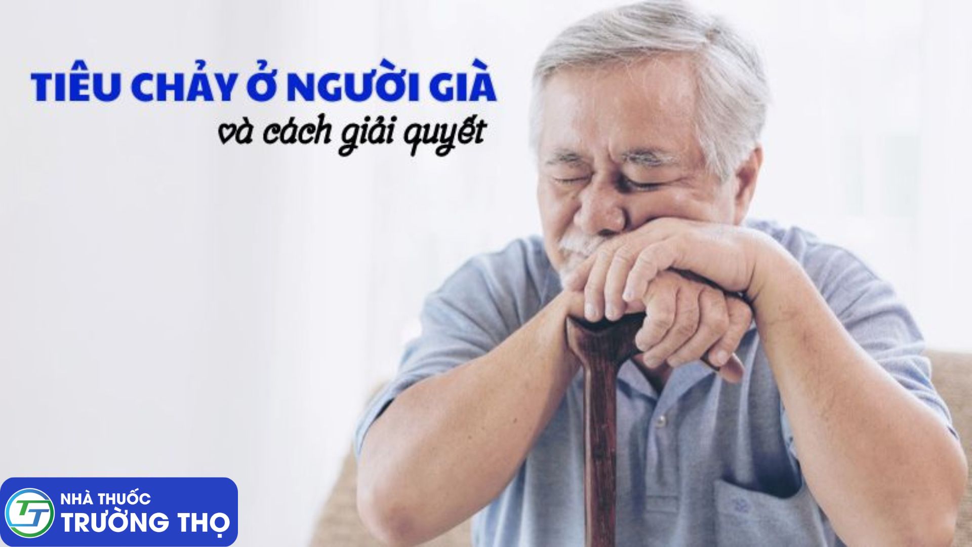 Trường Thọ - Thiet ke chua co ten 1