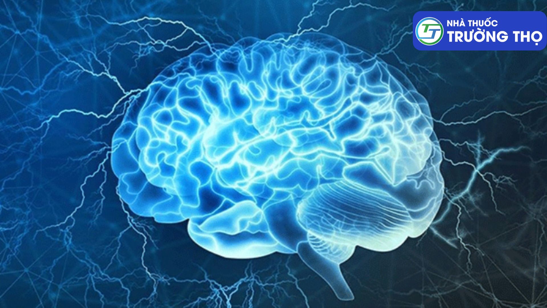 Ginkgo Biloba – Tăng cường khả năng chịu đựng bảo vệ tế bào thần kinh