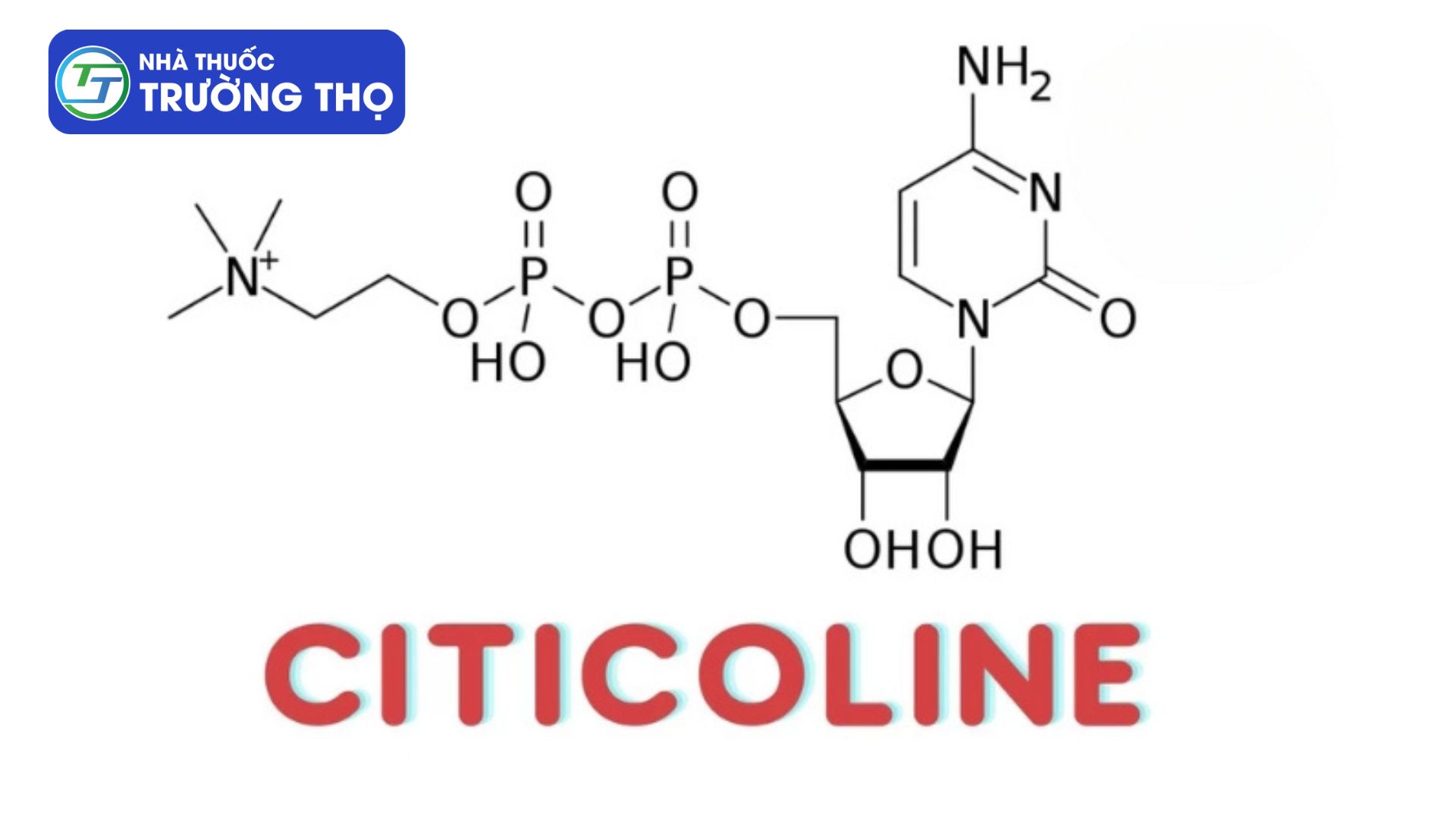 Citicoline giúp cải thiện trí nhớ, phòng ngừa đột quỵ