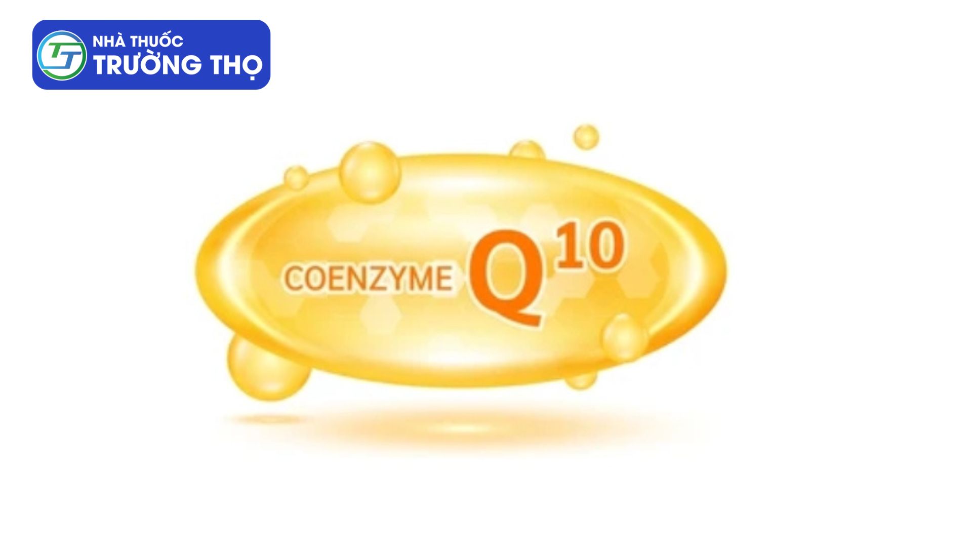 Coenzyme Q10 có vai trò quan trọng với cơ thể