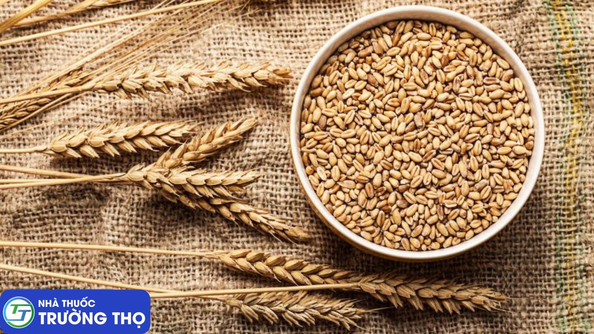 Lúa mì có thể làm cho tình trạng chướng bụng trở nặng hơn