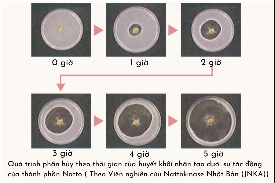 Trường Thọ - tieu huyet khoi