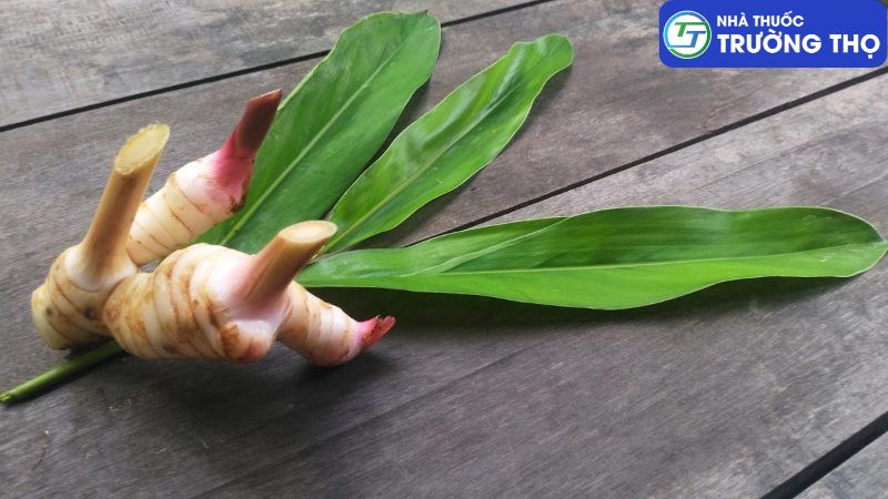 Trường Thọ - cu rieng