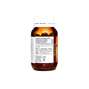 Trường Thọ - Dasbrain 1