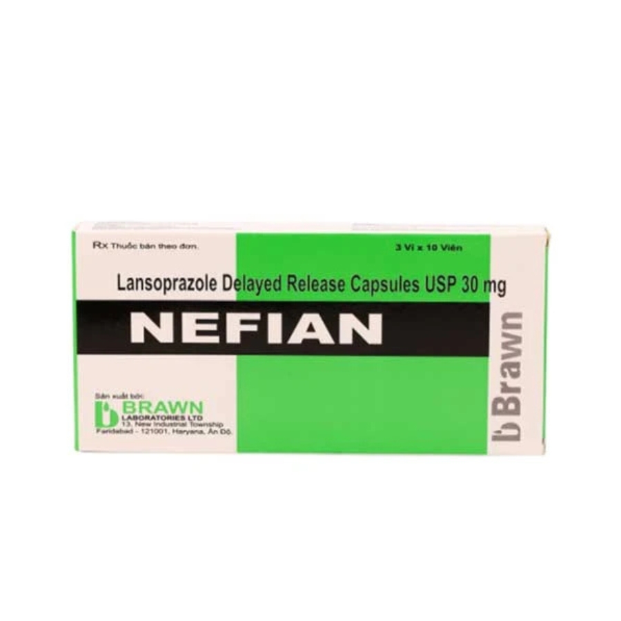 Nefian Trường Thọ - Nefian