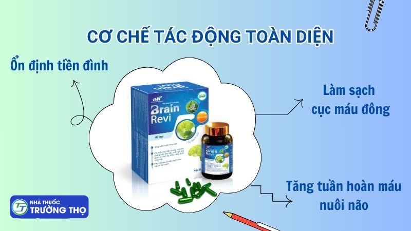 Brain Revi sở hữu cơ chế tác động toàn diện tới não bộ