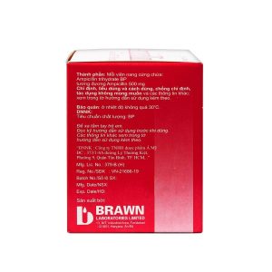 Trường Thọ - Thuốc Ampicillin Capsules BP 500mg Brawn điều trị nhiễm khuẩn (10 vỉ x 10 viên) 1 Trường Thọ - Smart pharma 58 1