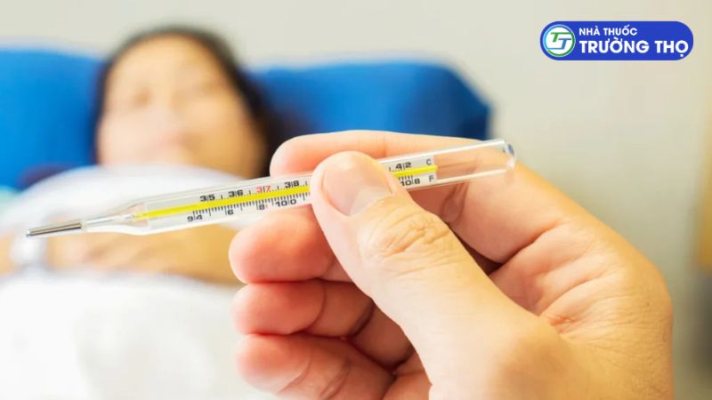 Ở giai đoạn đầu của sốt xuất huyết Dengue, bệnh nhân thường khởi phát với triệu chứng sốt cao đột ngột